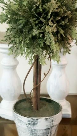 Cute Decorative Tree