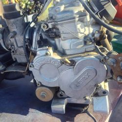 Rotax 125 Need A Harness 