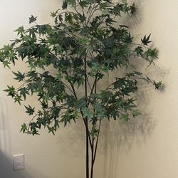 6ft Tall Fake Plant Studio McGee 