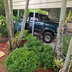 Ford Pick Up