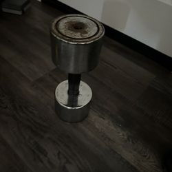 25 Pound Dumbbell 