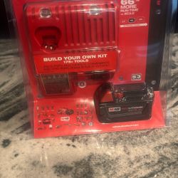 battery Plus Charger