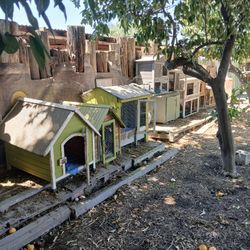 Dog Houses $40.