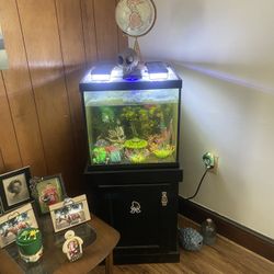 27 Gallon Fish Tank With EVERYTHING you Need