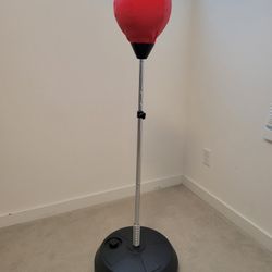 Speed Punching Bag With Stand & Gloves