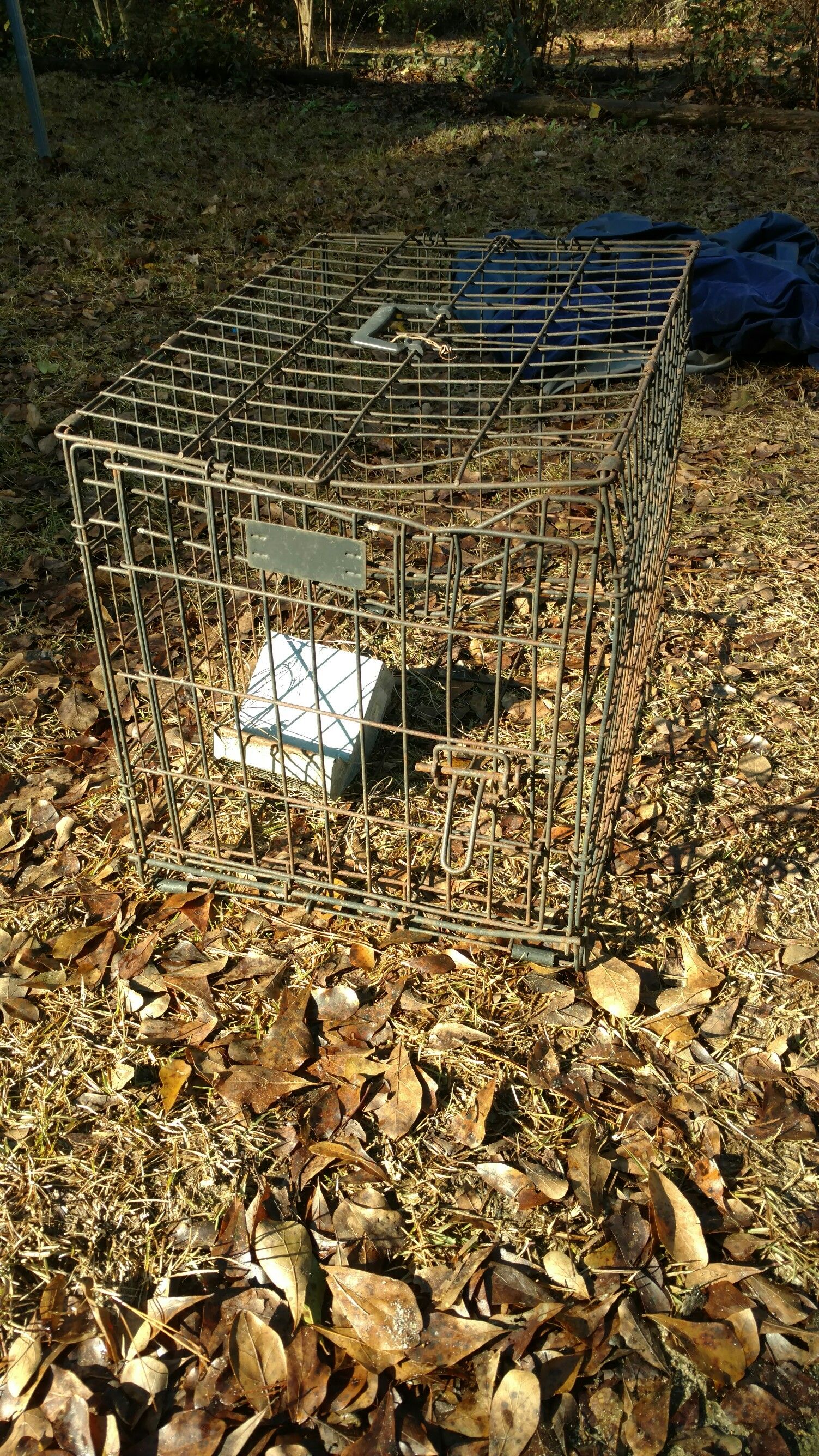 Cage