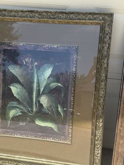 Frames