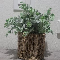 Powdered Eucalyptus In Woven Basket