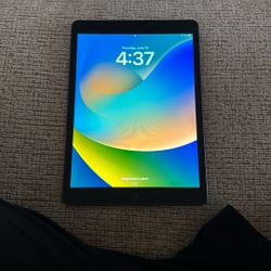 iPad 