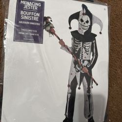 Menacing Jester Circus Clown Halloween Child Costume,