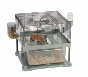 New hamster cane