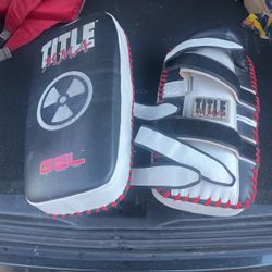 Mauy Thai Pads