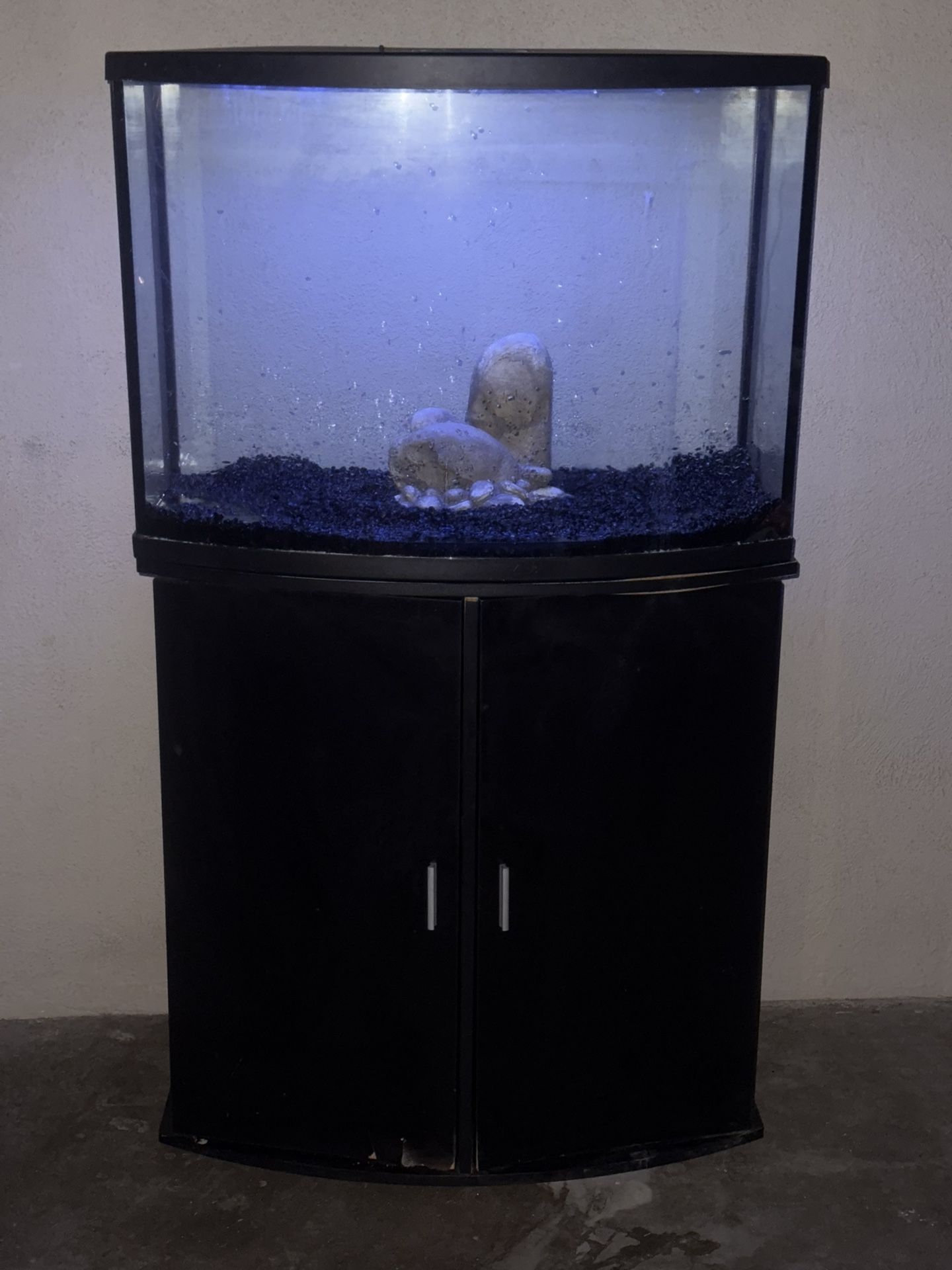 Bow Front Aquarium