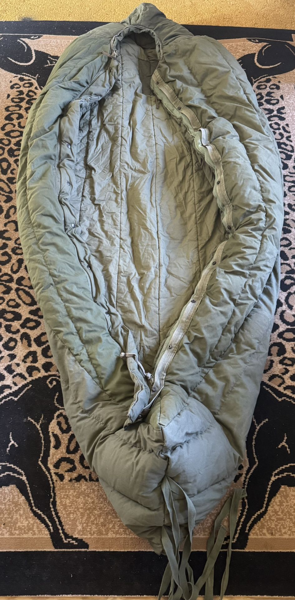 Green Sleeping Bag