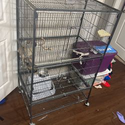 Big Bird Cage 