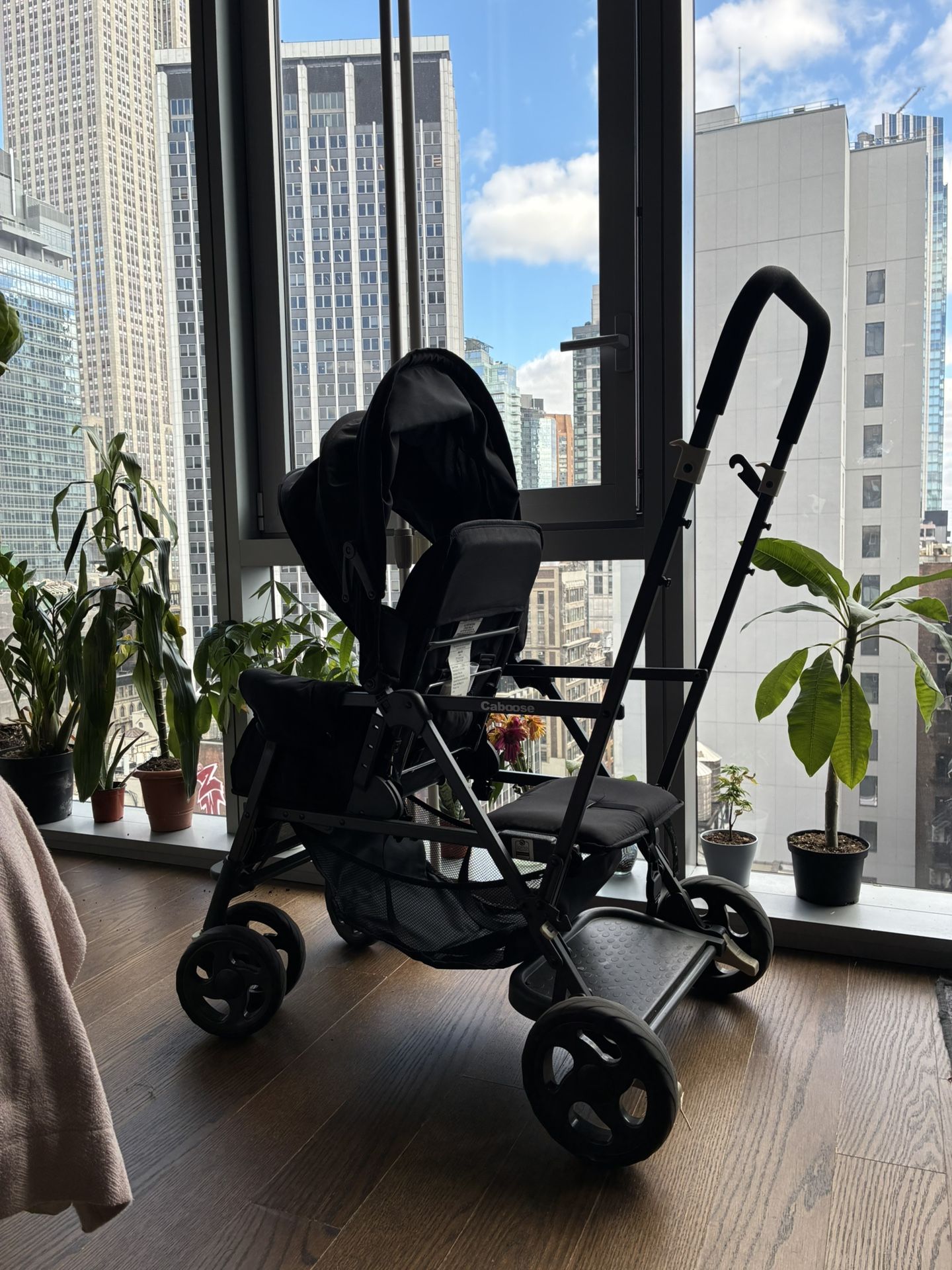 Black Joovy Caboose Stroller