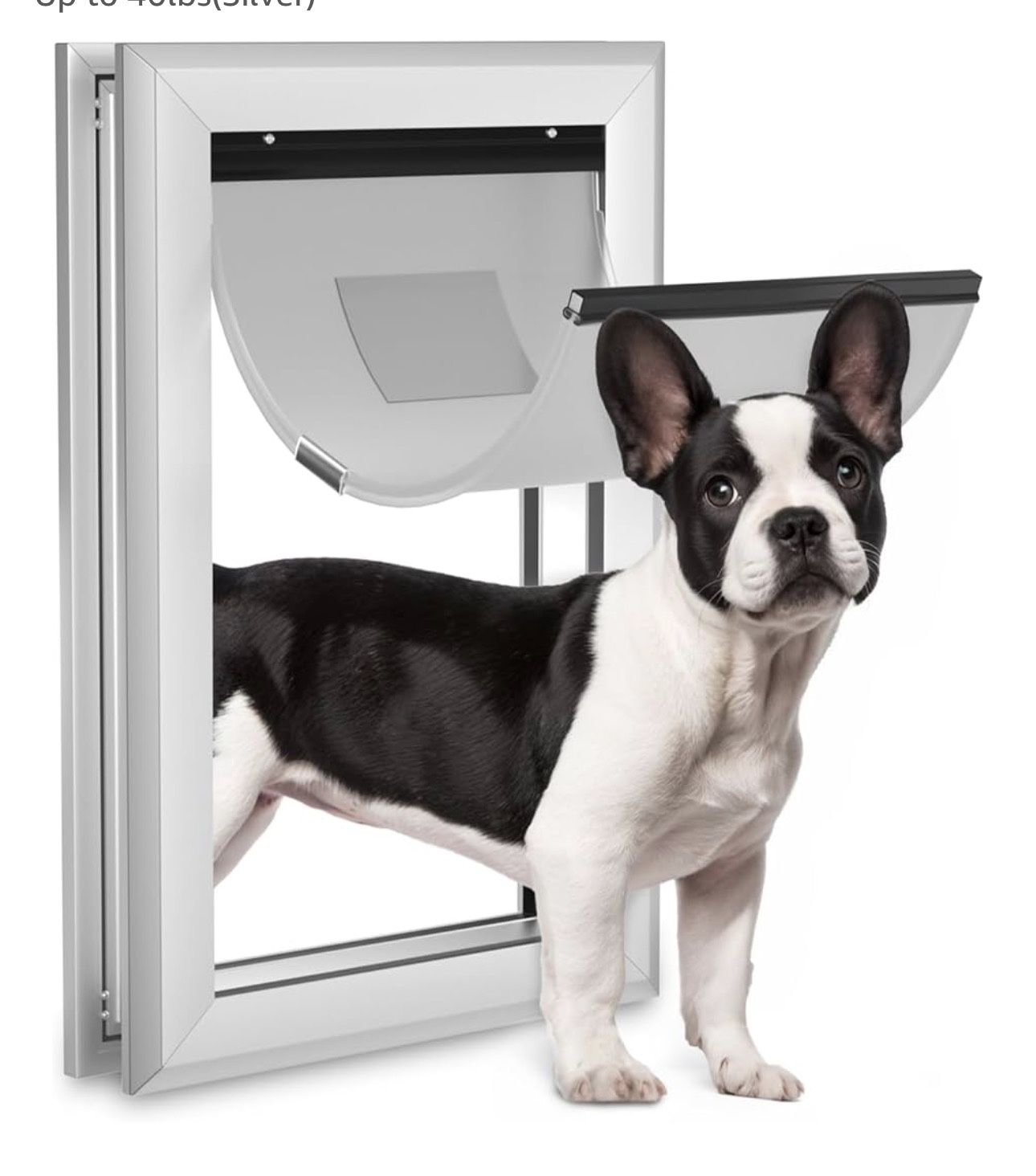 Dog Door