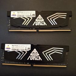 16gb DDR4 Forza RAM Sticks (2x8)