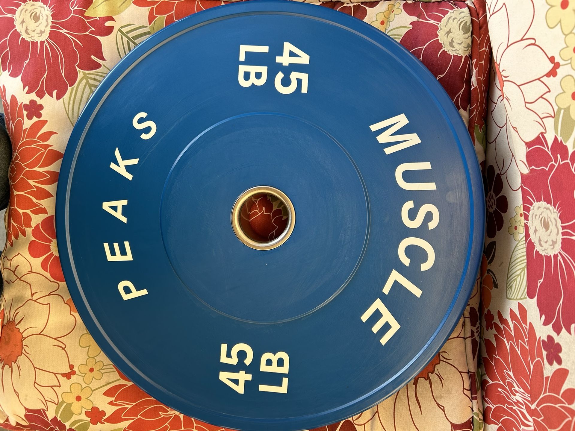 A pair of 45 pounders bumper weights