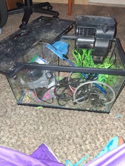 Fish tank