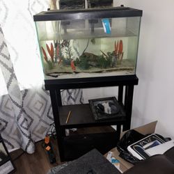 Fish Tank 25 Ft 