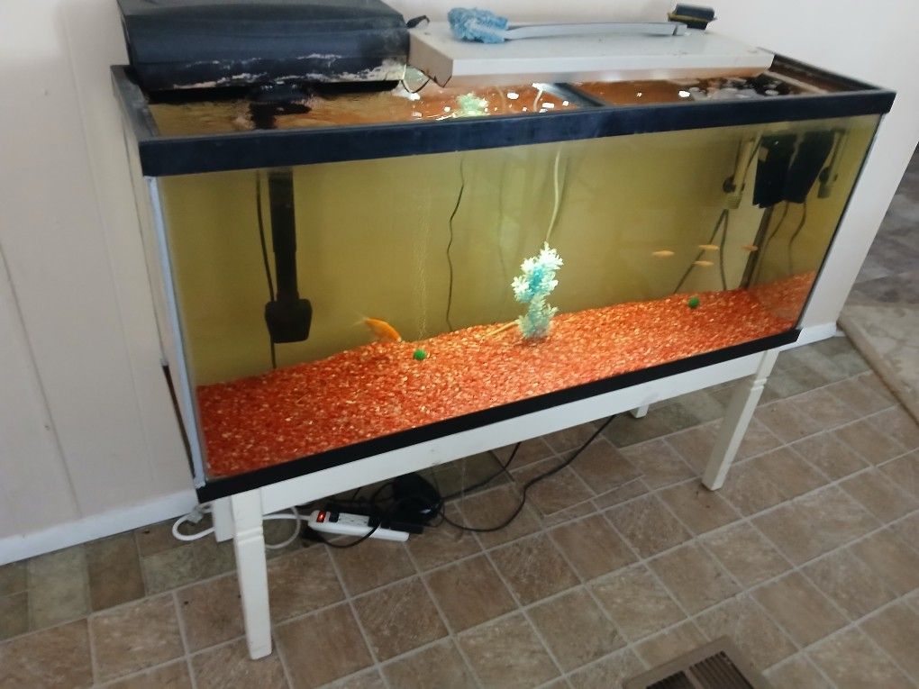 50 Gallon Tank