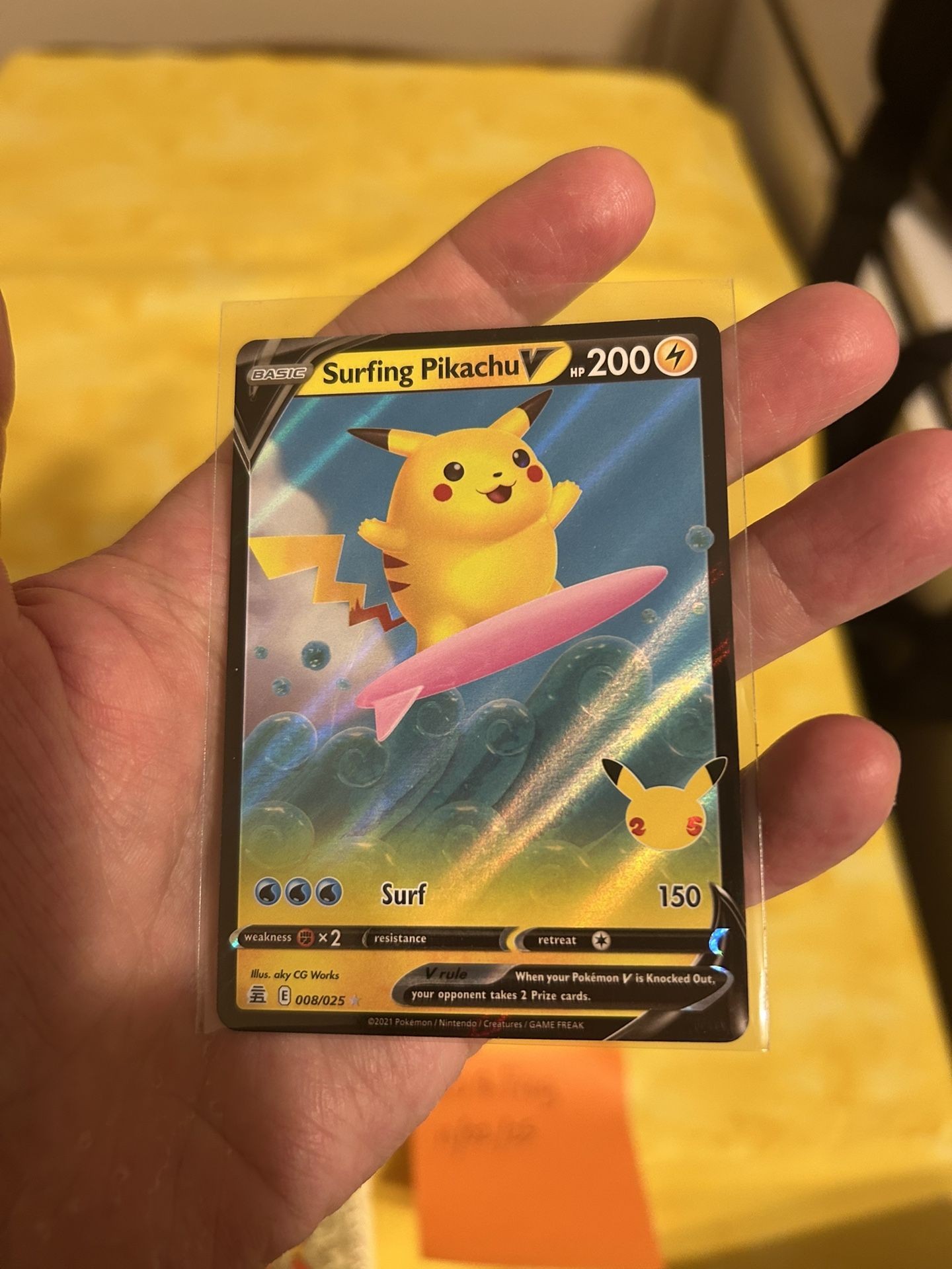 CELEBRATIONS SURFING PIKA