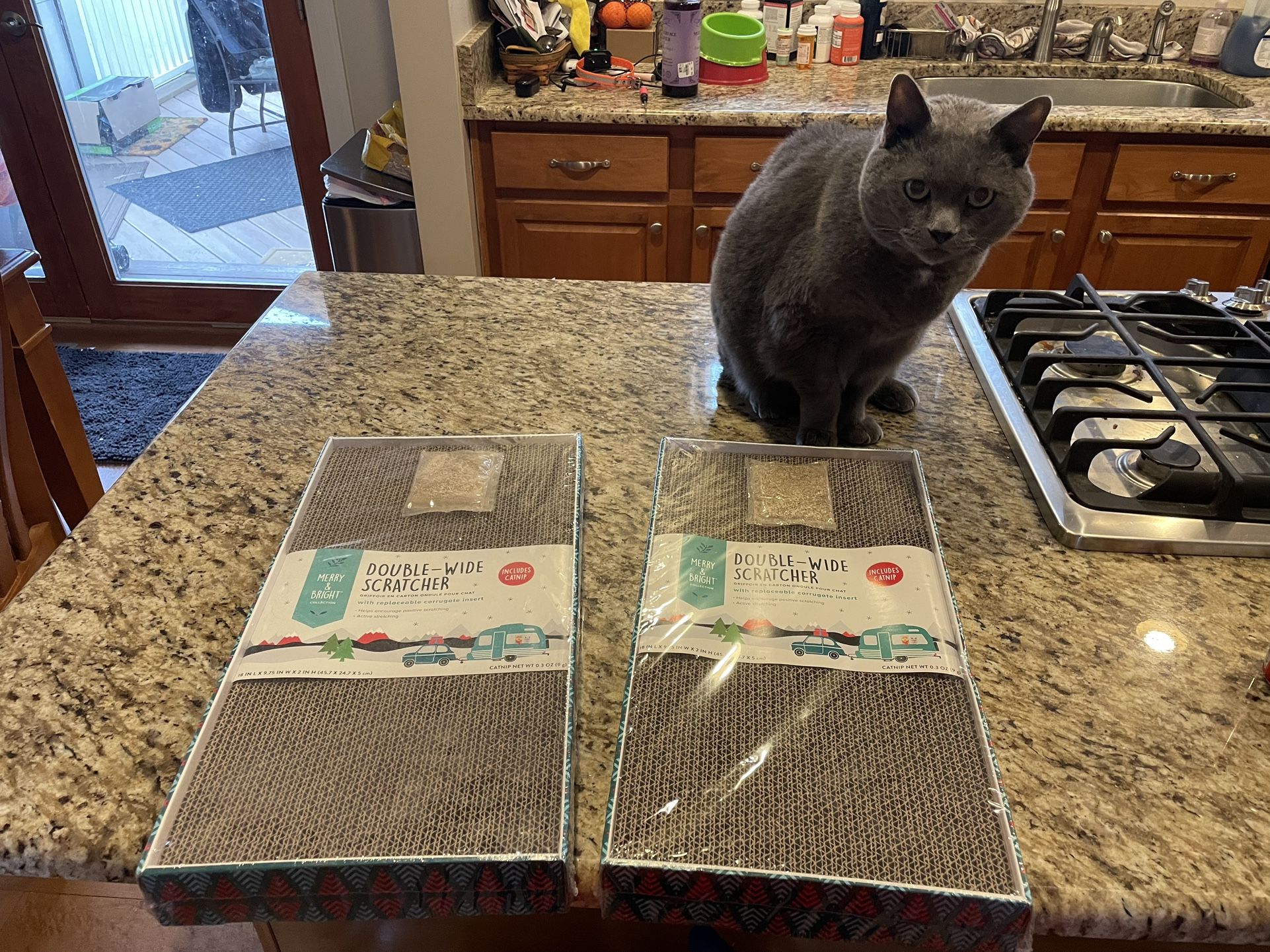 CAT SCRATCHERS 