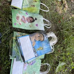 Princess Frog Paper Bags 5x7  30 Count