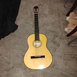 Acoustic Palmer Guitar