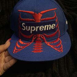 Gorra Nueva 