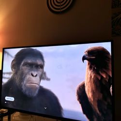 43” Insignia 4K TV NEED GONE TODAY