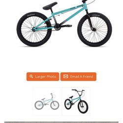 BMX Bike Youth Brand Stolen 20”