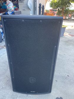 McCauley Professional PA Speaker