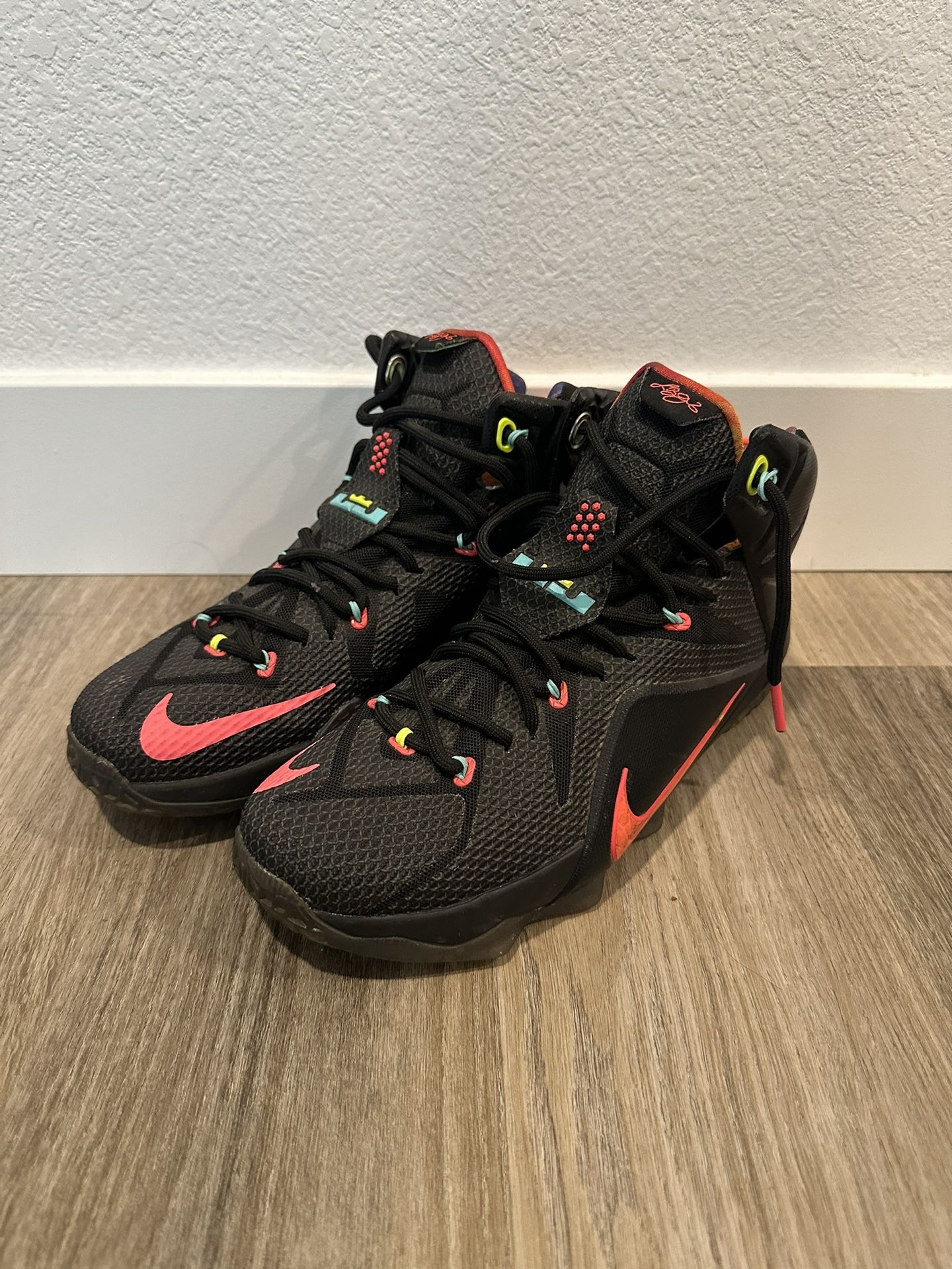 2014 LEBRON 12 “DATA JAMES” size 9M