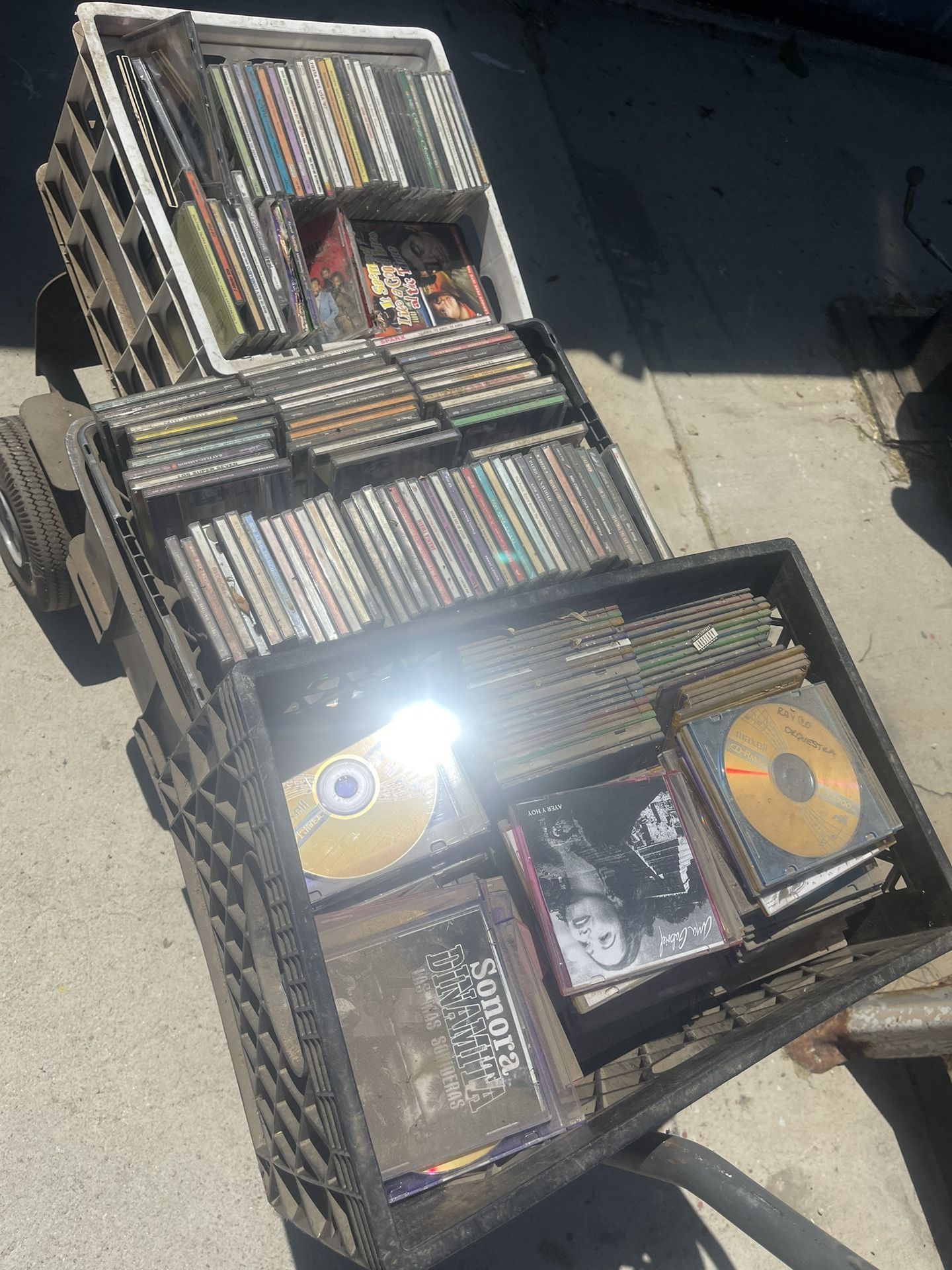 Cds