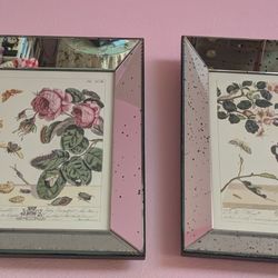 Sale $420.00 Antique Beveled Mirror Botanical Garden Prints