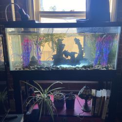 45 Gallon Fish Tank Aquarium With Stand Included