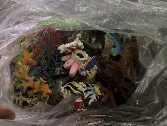 Fish Tank Items