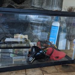 10 Gal Tank With Reptile Accessories 
