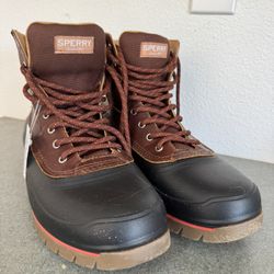 Sperry Boots