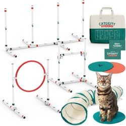 Cat and Dog Agility Trainer