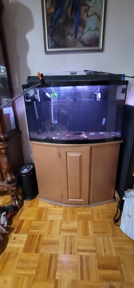 Bow Front 45 Gal Tank
