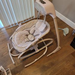 Ingenuity Gliding Baby Swing