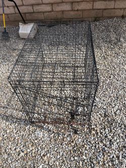 Dog Cage