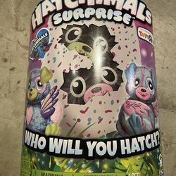 Hatchimals Surprise Twins, Toys ‘R Us Exclusive, New In Box