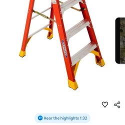 5ft Werner Ladder 