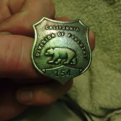 1940  Division Of  Forestry Badge 