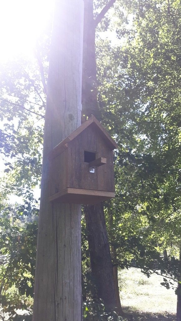 Handmade Bird Houses