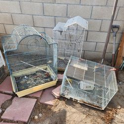 Bird Cages (3)